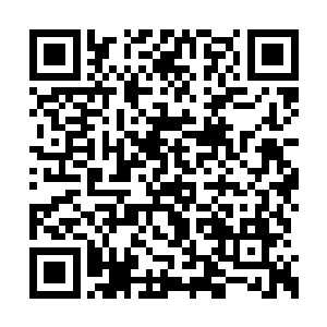 也知道自己身体的情况不适合和杨彦恒继续交谈二维码生成