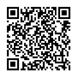 也确定了鹰钩鼻确实是提前知道了牌盒里的牌序二维码生成