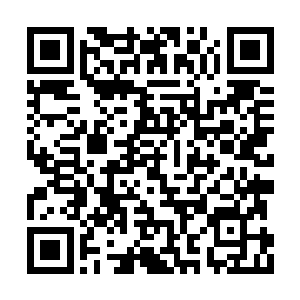 也祝我所有亲爱兄弟姐妹们把日子过得喜气洋洋二维码生成