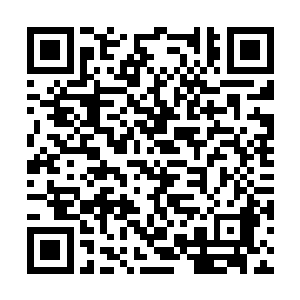 也算是你父亲还有点良心……朝姐儿若是不开心了二维码生成