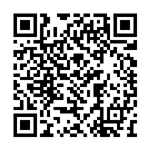 也终于开始慢慢的退出了各大报纸娱乐版的头条二维码生成