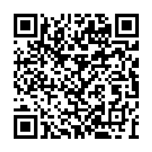也终于明白先前在车上秦师叔说的那话的意思了二维码生成