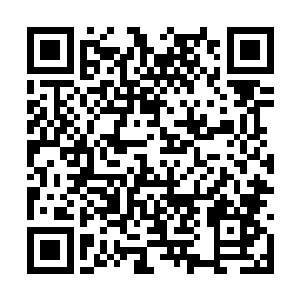 也终于跟愤怒背后的六支羽翼狠狠的撞击在了一起二维码生成