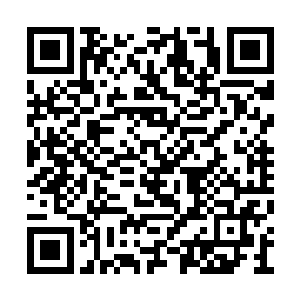 也绝不仅仅用机缘气运扣在他头上就能让人信服二维码生成