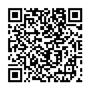 也绝不会有几个你为之牺牲为之奋斗的老百姓站出来反抗二维码生成