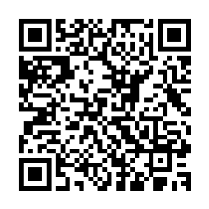 也能凭着潜意识将决定自己生死存亡的源代码毫不犹豫的交付二维码生成