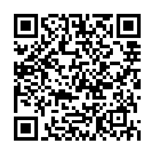 也能强到这个地步……这就叫战斗的天才吧……二维码生成