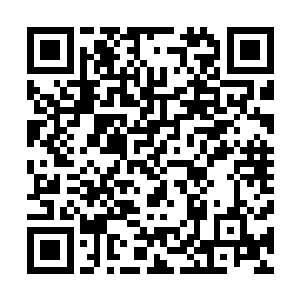 也能感觉到背后那道可以轻易将他们碾轧成肉沫的恐怖能量二维码生成
