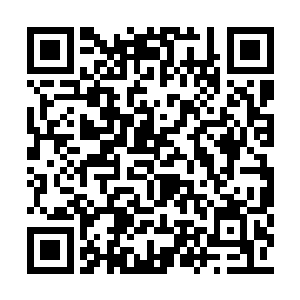 也能明白随时都有可能有人跳出来要杀你的感受二维码生成
