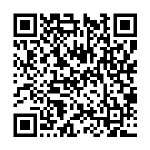 也被誉为是将来最有可能闯到元塔第十六层的七人二维码生成