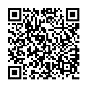 也要在人前撅着一个油光光的嘴唇表示自己今天吃的是肉二维码生成