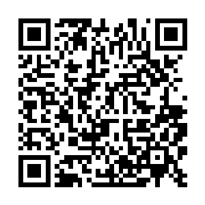 也觉得这语音语调掌握起来没有手术刀和步枪顺手啊二维码生成