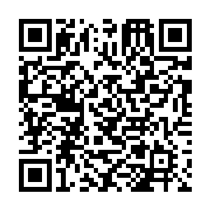 也觉得那些师兄弟们说的应该是实情……在大山深处二维码生成