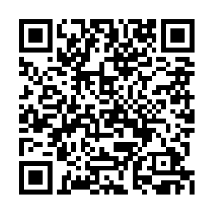 也让叶璃渐渐地进入了京城大家闺秀们的交际圈二维码生成