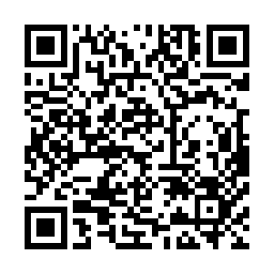 也让后狮他们编出了十数个关于未来的神之子默巫的新传说二维码生成