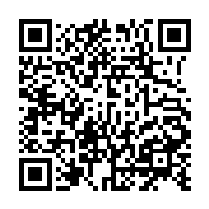 也让天兰乡的土豪们学着怎么藏东西躲过东海势力的收刮二维码生成