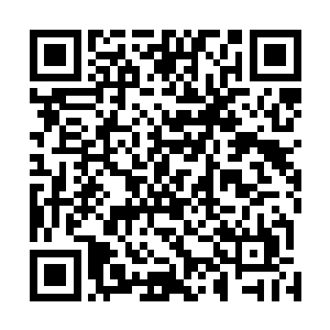 也让她更加的想要从他的脸上看到一些平时看不到的神情二维码生成