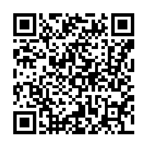 也让身后觉得自己被当成便宜丫鬟贱卖的护卫都有些不满了二维码生成