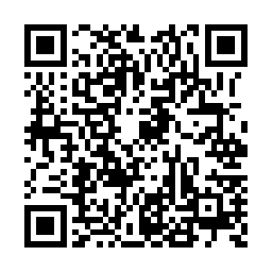 也许你们沿着那条河岸线不断飞行个一年几年的二维码生成