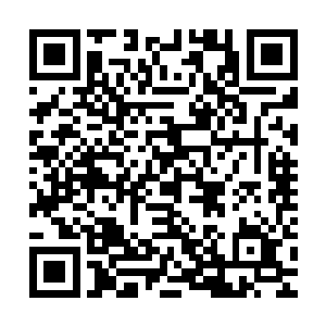 也许你和我在这座岛上发生一些什么浪漫的事情才是我最渴求的二维码生成