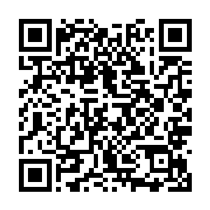 也许几年后这里也能长出一片土元果树林也不一定二维码生成