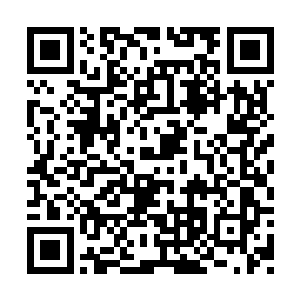 也许在她之前的岁月已经就见了太多阴暗肮脏吧二维码生成