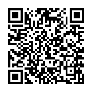 也许就不得不答应了--要知道白小飞虽然能力强大二维码生成