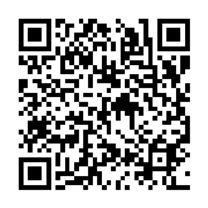 也许就连五个提名席位都凑不满――虽然略显夸张二维码生成