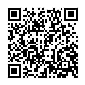 也许应该买来重温一下……续集什么时候出来呢二维码生成