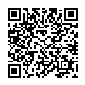 也许是因为传承记忆当中太多关于类似酒楼的形象了二维码生成