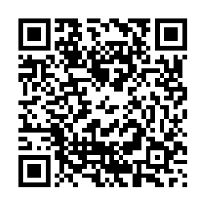 也许是因为天道此时此刻当真是觉得对不起自己的这些女人们二维码生成