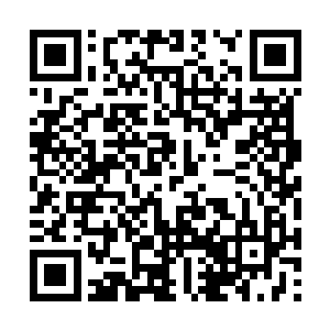 也许是被草原上弱肉强食的黑暗法则鞭策了上百年二维码生成