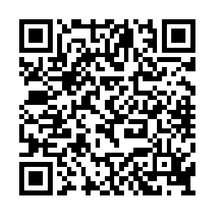 也许显谟真能闯过来罢…………俺们在河东边地二维码生成