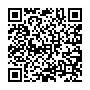 也许白芒给海丝太子宫的宫卡只是为了以后有机会利用海丝二维码生成