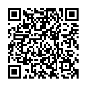 也许给此子足够的时间可以让其成长到和异界强者抗衡的境界二维码生成
