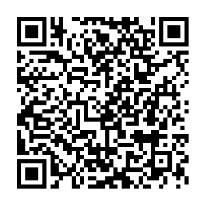 也许自己这个最好的人类朋友总会做出一些让人啼笑皆非的事情出来二维码生成
