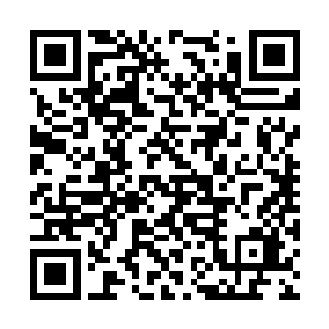 也许这时候是最好的能够把他们一网打尽的时间了二维码生成