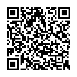 也还没有见过她展露过这样随意自然的动作……二维码生成