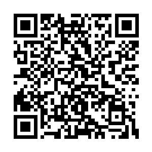 也防不住一个可以在地底下肆意穿行的神血战士二维码生成