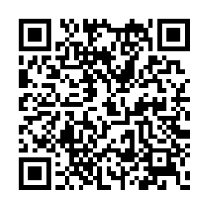 也难怪海盗王会选择这个地方作为自己的大本营二维码生成