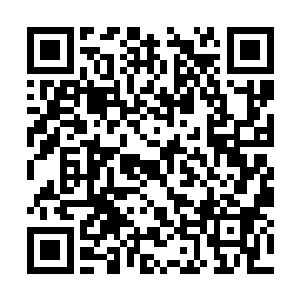 也需要立刻通知第二阶梯的大军即刻赶来西荒界域二维码生成