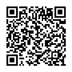 也需要自身顽强的意志和千锤百炼才能消化吸收二维码生成