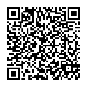 也非得打他个半死然后告官不可……不过后来姑爷也将他狠狠折辱了一番二维码生成