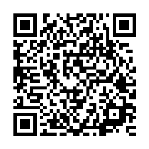 也顺便了解一下双峰方面在这个案件中究竞出现和存在哪些问题二维码生成