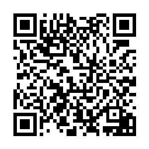 习惯一龙一领主的龙族本来就没有多少同族的概念二维码生成