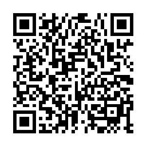 习惯了她打电话来请教钢琴或作词时的小抱怨……二维码生成