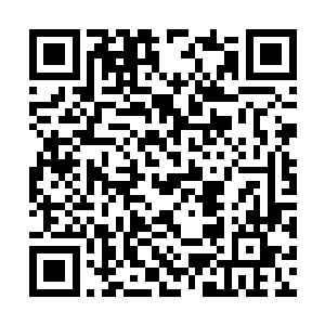 乡民们按照合同培育的药材也刚刚有第一期的收成二维码生成