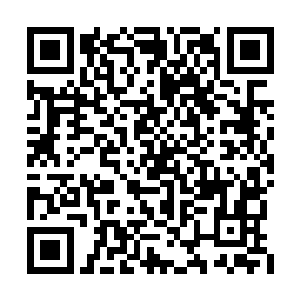书房里叶玥只能看到那两个携手而来的白衣身影二维码生成