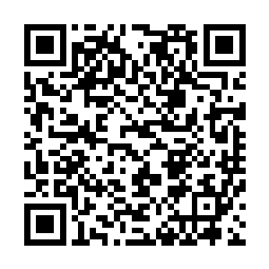买下这件上品圣器的那个人斩断了我们羊家几名护卫的手臂二维码生成