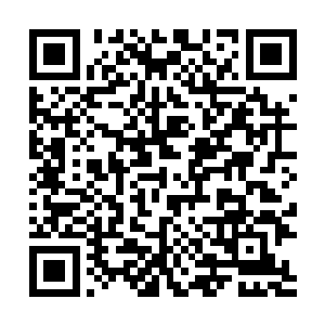 买家可以从10几种机舱平面图中选择自己喜欢的样子二维码生成